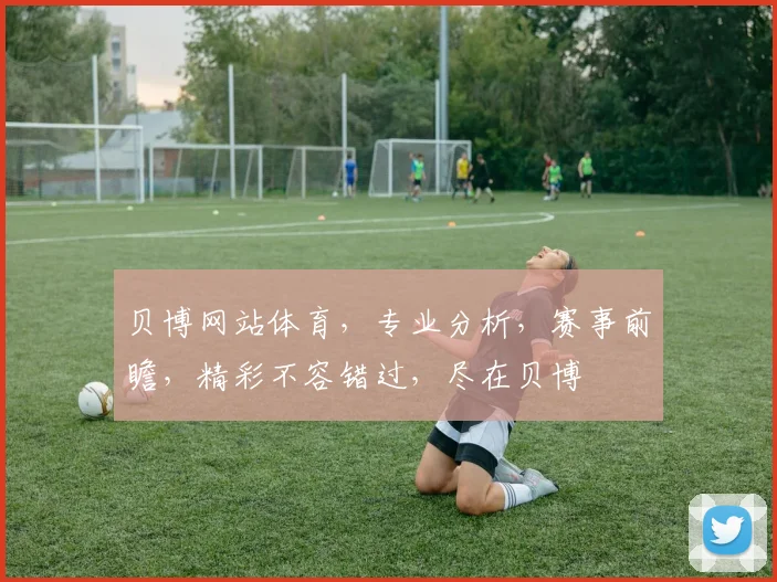 贝博网站体育，专业分析，赛事前瞻，精彩不容错过，尽在贝博
