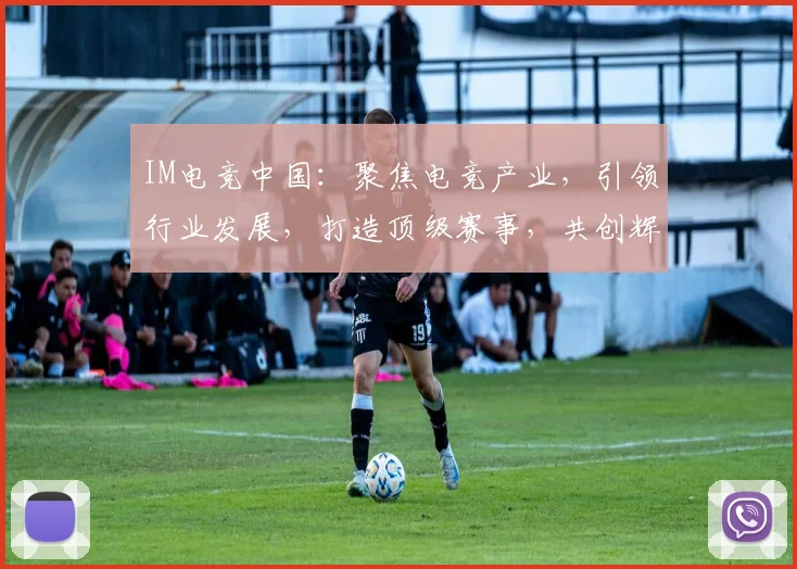 IM电竞中国：聚焦电竞产业，引领行业发展，打造顶级赛事，共创辉煌未来，三足鼎立，共铸辉煌