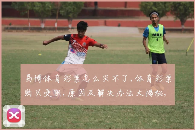 易博体育彩票怎么买不了,体育彩票购买受阻,原因及解决办法大揭秘,快速上手