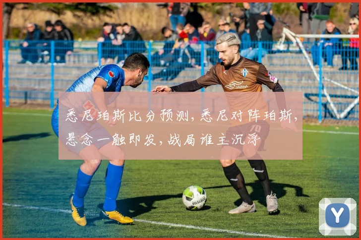 悉尼珀斯比分预测,悉尼对阵珀斯,悬念一触即发,战局谁主沉浮