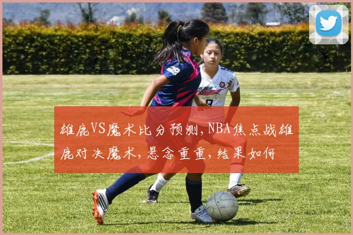 雄鹿VS魔术比分预测,NBA焦点战雄鹿对决魔术,悬念重重,结果如何