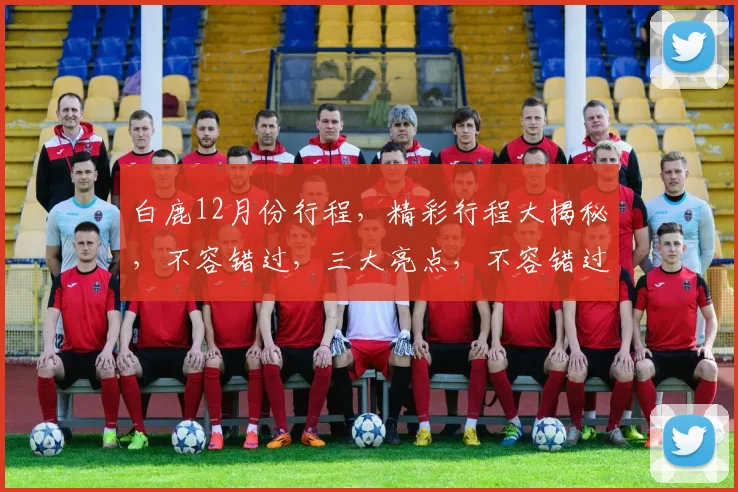 白鹿12月份行程，精彩行程大揭秘，不容错过，三大亮点，不容错过