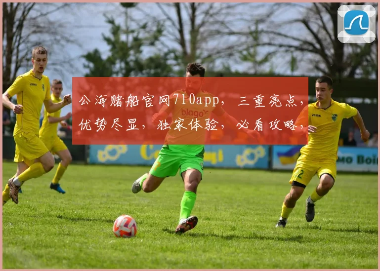 公海赌船官网710app，三重亮点，优势尽显，独家体验，必看攻略，一网打尽