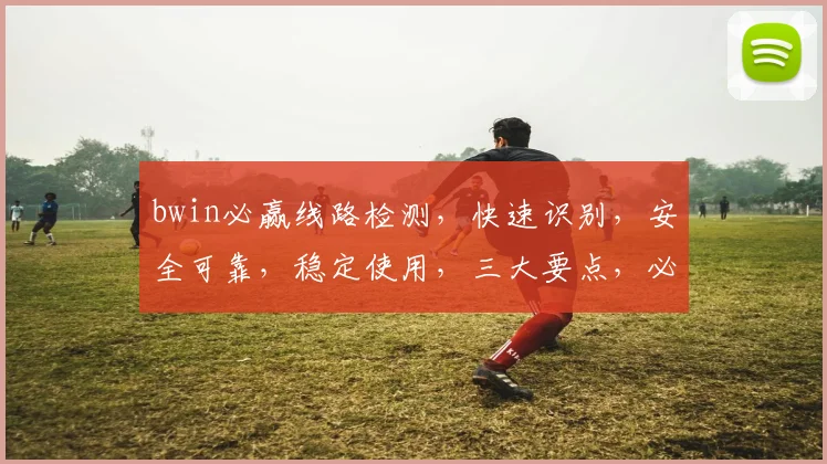 bwin必赢线路检测，快速识别，安全可靠，稳定使用，三大要点，必看攻略